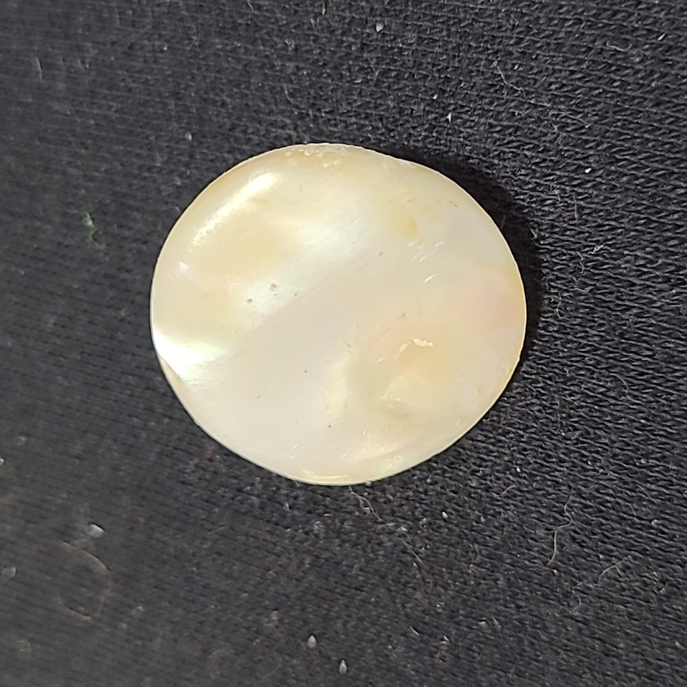 Antique Shell Brooch - Picture 3 of 3